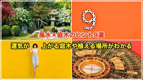 紅葉植物風水|風水×庭木のヒント9選【植えてはいけない木や植え。